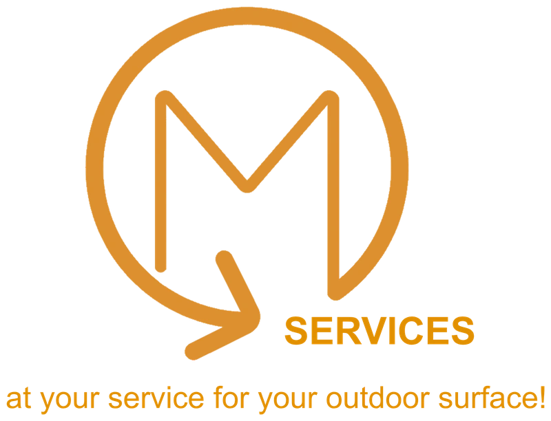 MS Services